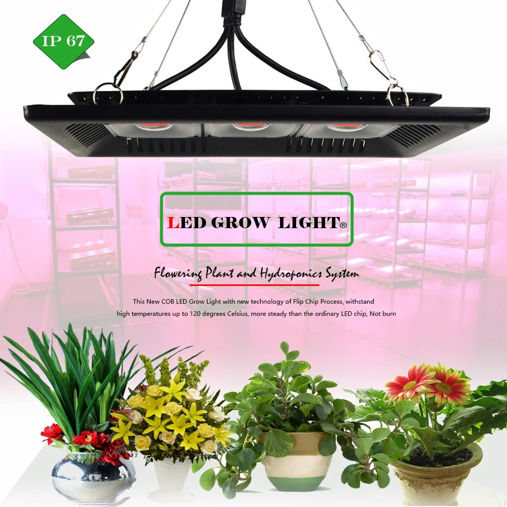 Phyto Lamp 50W 100W 150W LED Grow Light COB Full Spectrum IP67 Waterproof Grow LED plant lamp For indoor Grow Tent Plants Grow
Phyto Lamp 50W 100W 150W LED Grow Light COB Full Spectrum IP67 Waterproof Grow LED plant lamp For indoor Grow Tent Plants Grow