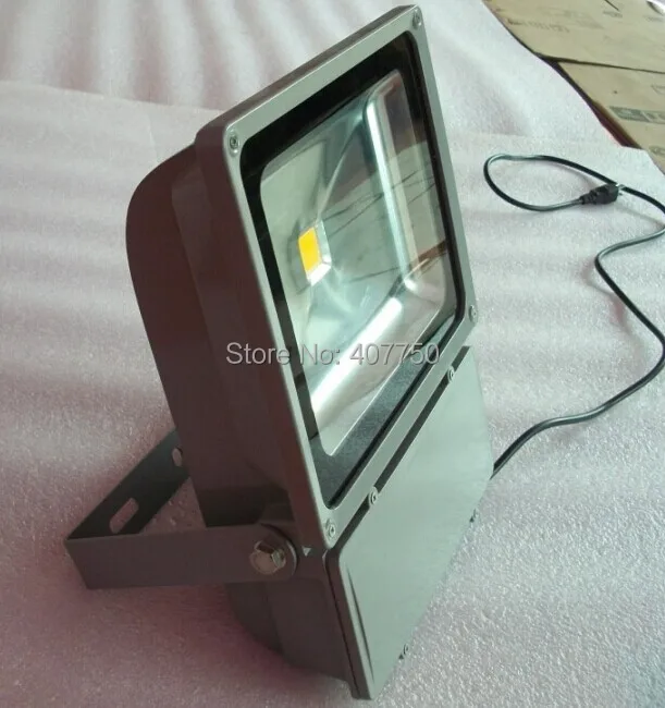 European plugs waterproof IP65 single color COB 70w led flood light used for campuses and libraries
European plugs waterproof IP65 single color COB 70w led flood light used for campuses and libraries