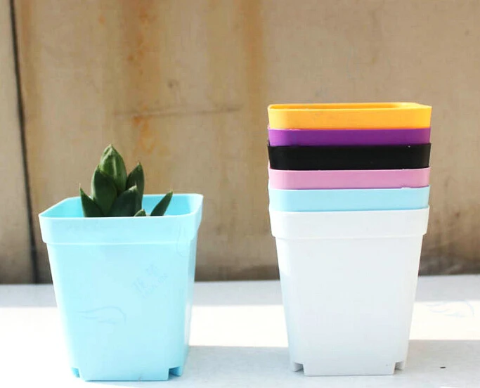 10pcs Mini Flower Pots with Tray Plastic Pot Garden Supplies Desktop Home School Colorful Plant Nursery Pots
10pcs Mini Flower Pots with Tray Plastic Pot Garden Supplies Desktop Home School Colorful Plant Nursery Pots