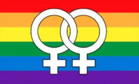 Gay Pride Flag Lesbian Flag Venus Flag hot sell goods 3X5FT 150X90CM Custom Banner brass metal holes
Gay Pride Flag Lesbian Flag Venus Flag hot sell goods 3X5FT 150X90CM Custom Banner brass metal holes