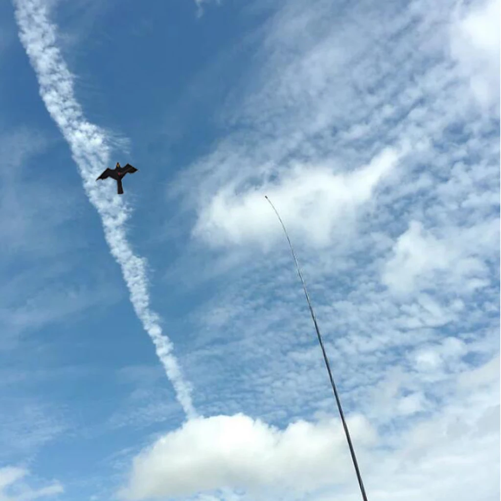 Hawk Bird Kite with 2.5m Braided Line - Kite Blue Handle with 100m Kite Line - Bird Repeller Hawk Kite Decoy Pest Control
Hawk Bird Kite with 2.5m Braided Line - Kite Blue Handle with 100m Kite Line - Bird Repeller Hawk Kite Decoy Pest Control
