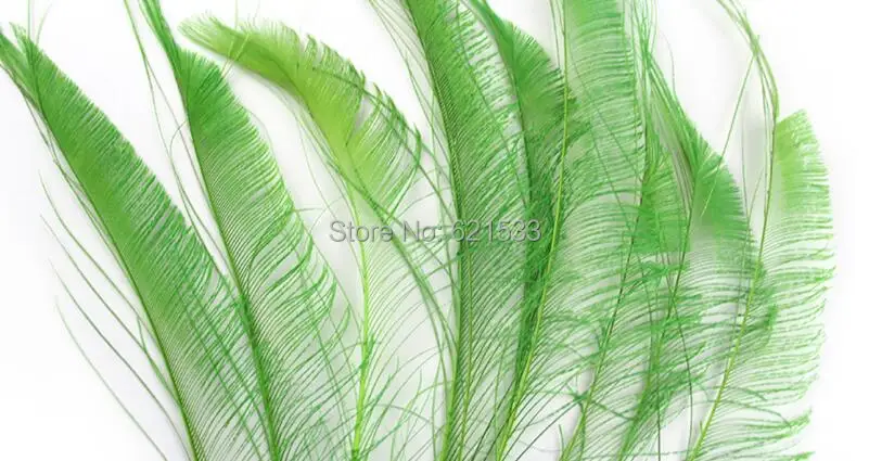 Green Feathers,100Pcs/Lot- Lime Green Peacock Swords Cut Feathers,25-30cm long,Peacock Feathers for Wedding diy Decoration
Green Feathers,100Pcs/Lot- Lime Green Peacock Swords Cut Feathers,25-30cm long,Peacock Feathers for Wedding diy Decoration