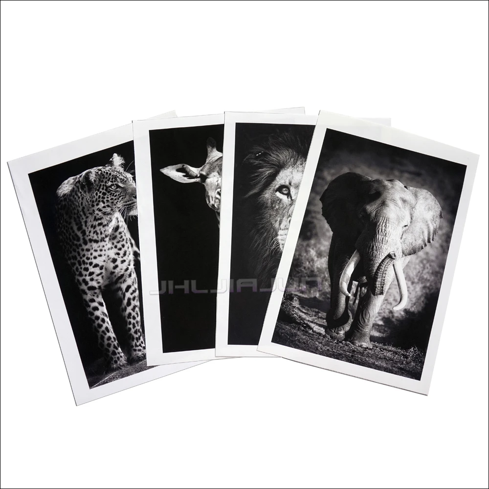 Giraffe Elephant Animal Posters and Prints Canvas Art Painting Wall Art Nursery Decorative Picture Nordic Style Kids Decoration
Giraffe Elephant Animal Posters and Prints Canvas Art Painting Wall Art Nursery Decorative Picture Nordic Style Kids Decoration
