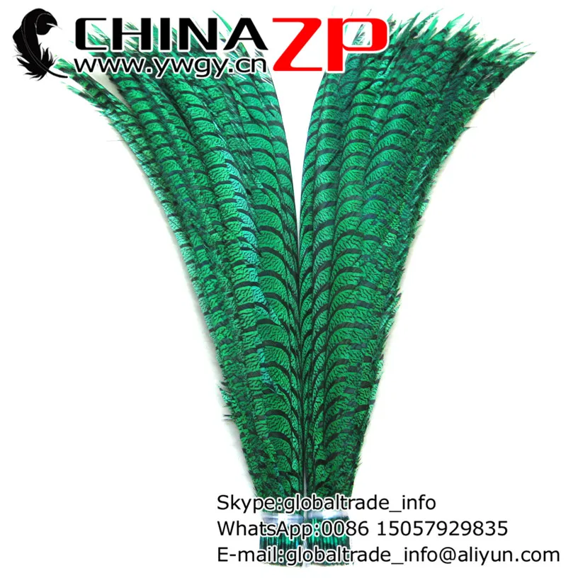 50pcs/lot 90~100cm(36~40inch) Length CHINAZP Factory Wholesale Good Quality Dyed Green Zebra Lady Amherst Pheasant Feathers
50pcs/lot 90~100cm(36~40inch) Length CHINAZP Factory Wholesale Good Quality Dyed Green Zebra Lady Amherst Pheasant Feathers
