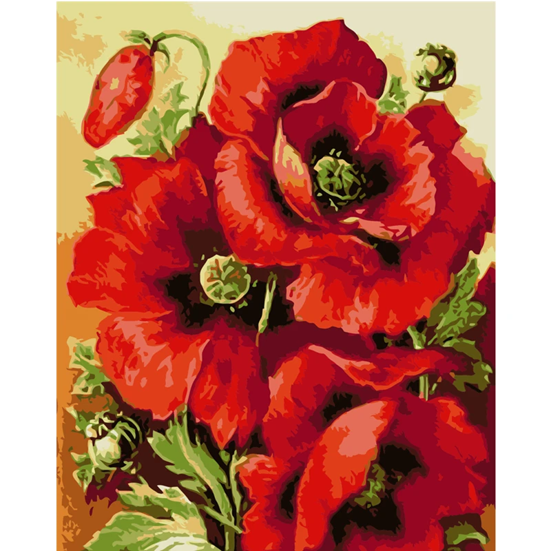 Red Poppy 60x75cm Frame DIY Painting By Numbers Acrylic Colorful Flower Hand Painted Oil Paint By Numbers For Home Decor Art
Red Poppy 60x75cm Frame DIY Painting By Numbers Acrylic Colorful Flower Hand Painted Oil Paint By Numbers For Home Decor Art