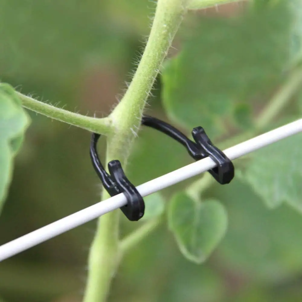 100pcs/lot Self-Locking Plant Vines Fastener Tied Buckle Hook Vegetable Grafting Clips Agricultural Greenhouse Garden Supplies
100pcs/lot Self-Locking Plant Vines Fastener Tied Buckle Hook Vegetable Grafting Clips Agricultural Greenhouse Garden Supplies