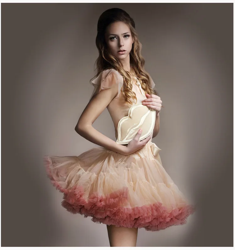 AYiCuthia Ball Gown Underskirt Swing Short Dress Petticoat Lolita Cosplay Petticoat Ballet Tutu Skirt Rockabilly Crinoline CQ9
AYiCuthia Ball Gown Underskirt Swing Short Dress Petticoat Lolita Cosplay Petticoat Ballet Tutu Skirt Rockabilly Crinoline CQ9
