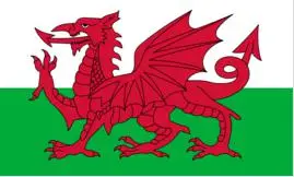 

Wales Flags Wholesale Lot of 10 PCS National Polyester Banner150* 90cm 3ft x 5ft All over the world outdoor
