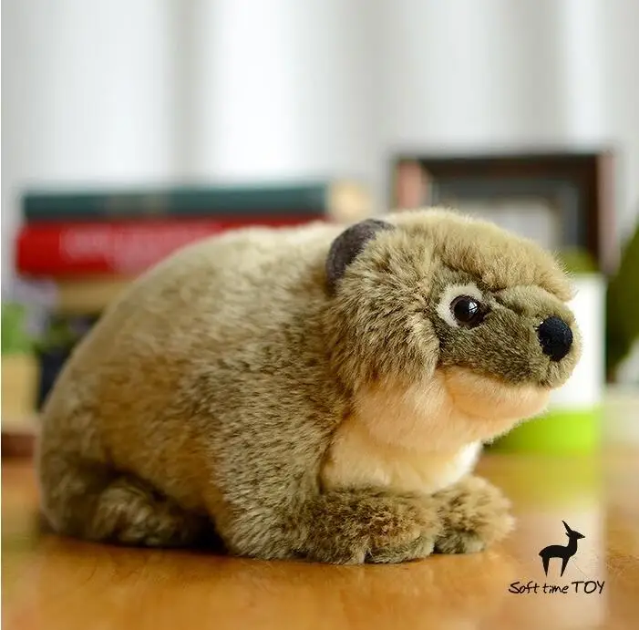 Rare Plush Toys For Children Gift Wildlife Africa Hyraxes Doll Animal Stuffed Toy So'f't
Rare Plush Toys For Children Gift Wildlife Africa Hyraxes Doll Animal Stuffed Toy So'f't