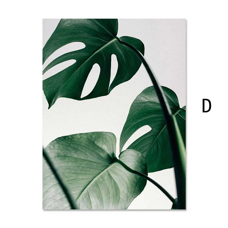 Modern Prints Plant Leaf Green Decor Wall Art Canvas Painting Poster Wall Pictures For Living Room Art Prints Unframed
Modern Prints Plant Leaf Green Decor Wall Art Canvas Painting Poster Wall Pictures For Living Room Art Prints Unframed