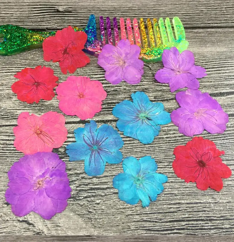 100pcs Pressed Dried Skura Flower Plants Herbarium For Jewelry iPhone Phone Case Photo Frame Postcard DIY Making Accessories
100pcs Pressed Dried Skura Flower Plants Herbarium For Jewelry iPhone Phone Case Photo Frame Postcard DIY Making Accessories