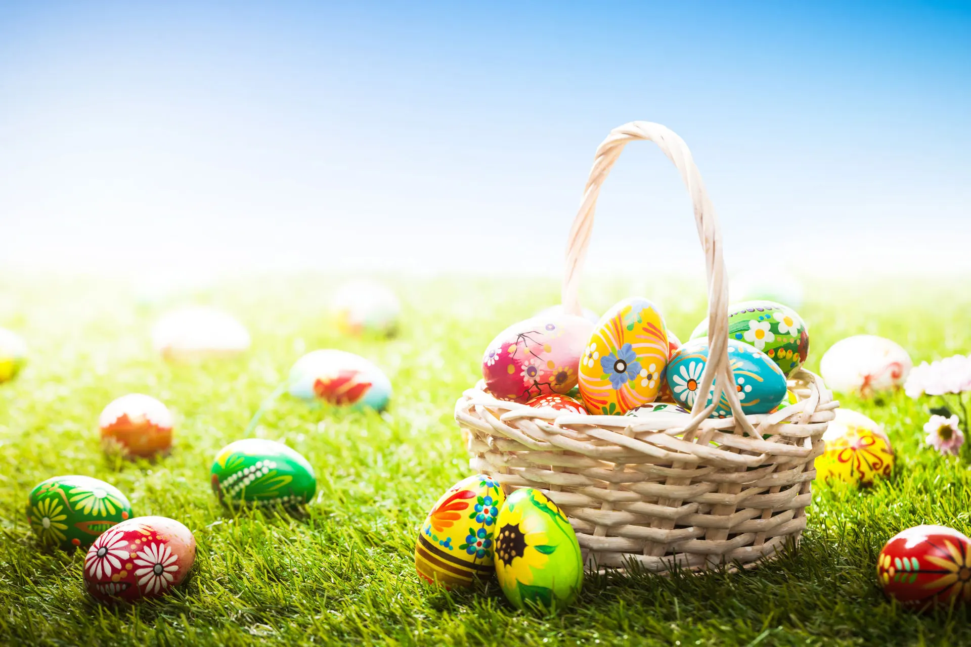 LIFE MAGIC BOX Egg Basket 200x150cm Custom Photo Backdrops Picture Background easter backdrops for photography HJ02908
LIFE MAGIC BOX Egg Basket 200x150cm Custom Photo Backdrops Picture Background easter backdrops for photography HJ02908