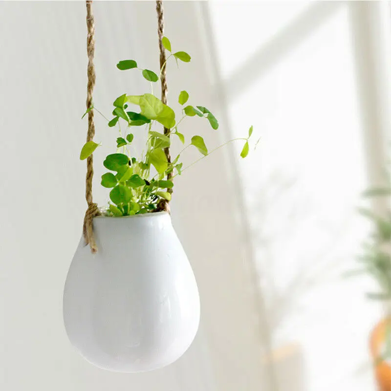 Ceramic Hanging Planter Flower Pot Plant Bulb Vase with Twine Garden Balcony Home Decor with Jute Rope
Ceramic Hanging Planter Flower Pot Plant Bulb Vase with Twine Garden Balcony Home Decor with Jute Rope