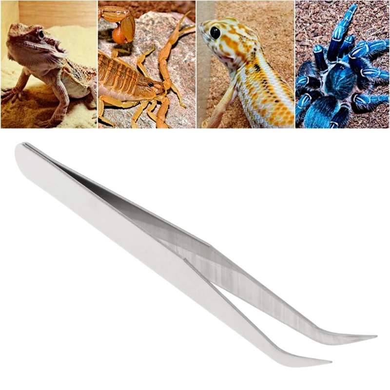 Stainless Steel Pet Clip Cleaning Tweezers Pet Ear Grooming Reptile Non Slip Terrarium Feeding Supplies
Stainless Steel Pet Clip Cleaning Tweezers Pet Ear Grooming Reptile Non Slip Terrarium Feeding Supplies