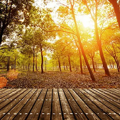 5x7ft Autumn sunshine photography backdrop background printed with wood floor and forest photo studio wallpaper
5x7ft Autumn sunshine photography backdrop background printed with wood floor and forest photo studio wallpaper