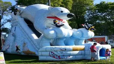 china inflatable slides supplier commercial inflatable slide for sale polar bear inflatable toys
china inflatable slides supplier commercial inflatable slide for sale polar bear inflatable toys