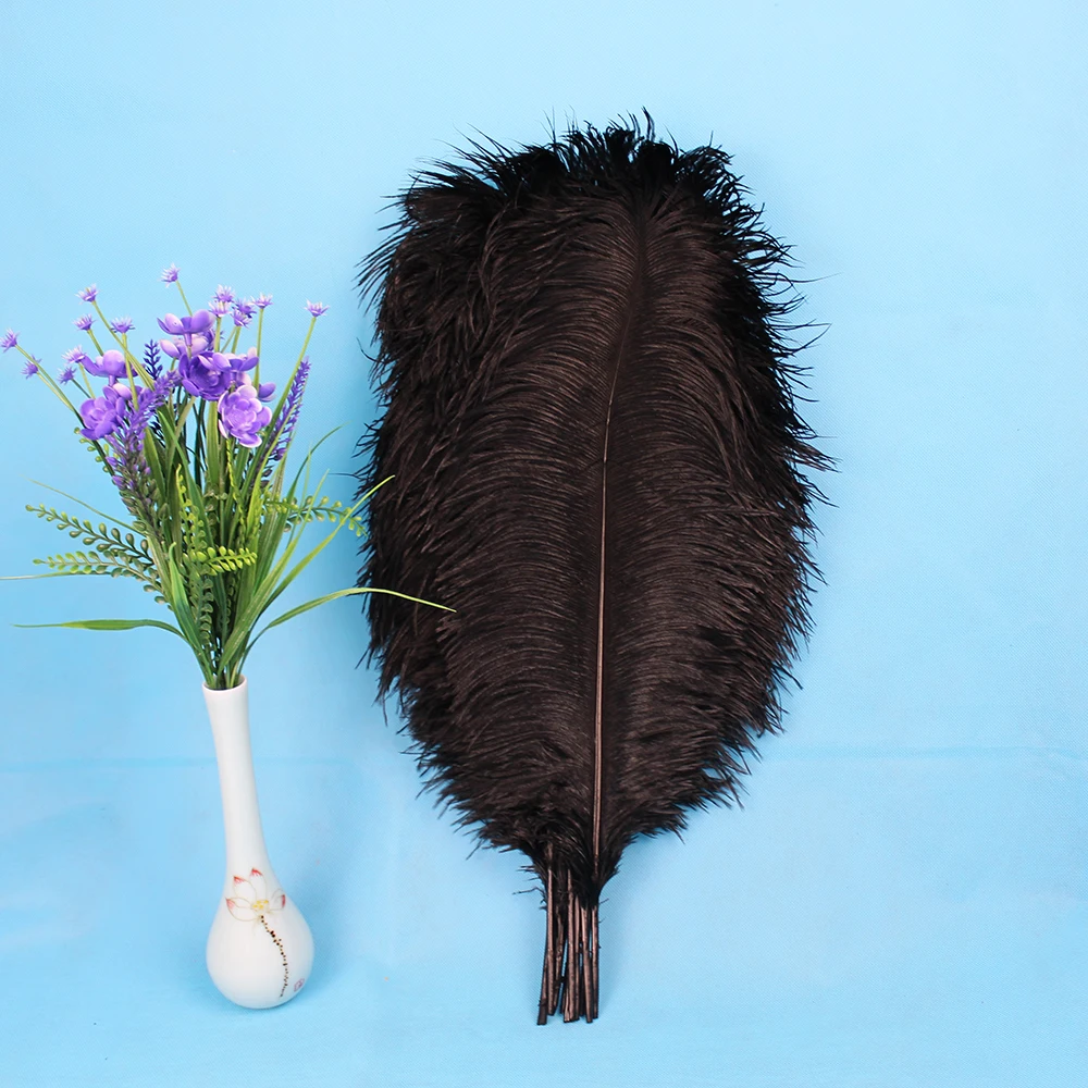 500PCS natural black ostrich feather 25-30 cm / 10 to12 inches plume wedding decoration performance art feathers
500PCS natural black ostrich feather 25-30 cm / 10 to12 inches plume wedding decoration performance art feathers