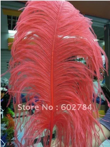 Free shipping 50pcs/ lot 18-20inch 45-50 hot pink ostrich feather ostrich plume wholesale
Free shipping 50pcs/ lot 18-20inch 45-50 hot pink ostrich feather ostrich plume wholesale