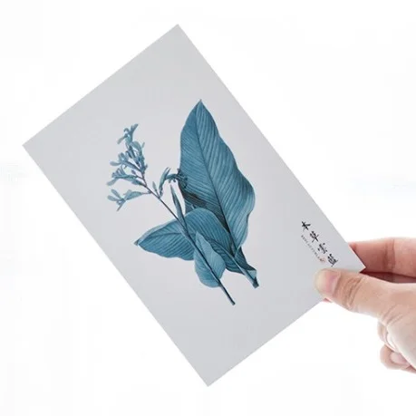 30pcs blue plant flower life style card multi-use Scrapbooking party invitation DIY Decoration gift card message card postcard
30pcs blue plant flower life style card multi-use Scrapbooking party invitation DIY Decoration gift card message card postcard