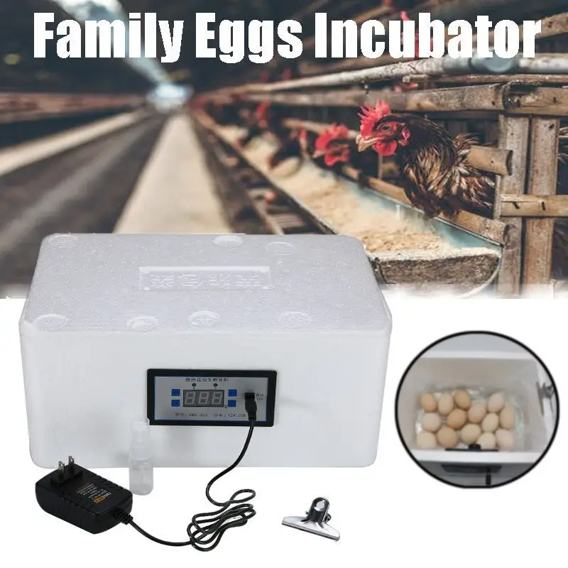 Automatic Digital Family Eggs Incubator 22 Position Chicken Poultry Hatcher Home Foam Waterbed Incubator Farm Incubation Tools
Automatic Digital Family Eggs Incubator 22 Position Chicken Poultry Hatcher Home Foam Waterbed Incubator Farm Incubation Tools