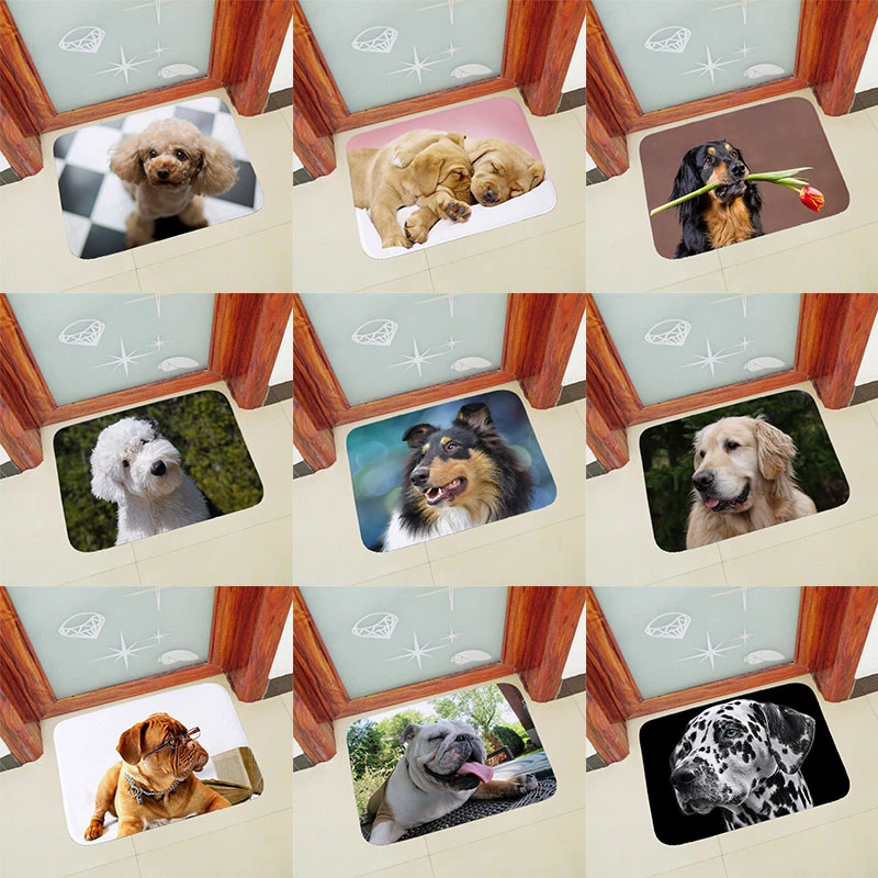 Quality Anti slip doormat for entrance door mats outdoor indoor front door mat Thicken flannel 40x60cm 50x80cm dogs printed QXB5
Quality Anti slip doormat for entrance door mats outdoor indoor front door mat Thicken flannel 40x60cm 50x80cm dogs printed QXB5