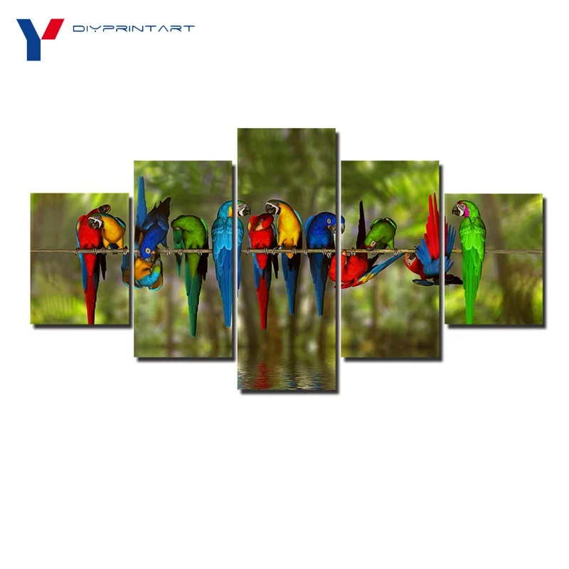 Colorful Bird 5 Pcs/set Modern Art Painting Animal Poster House Decoration Living Room Decoration A0506
Colorful Bird 5 Pcs/set Modern Art Painting Animal Poster House Decoration Living Room Decoration A0506