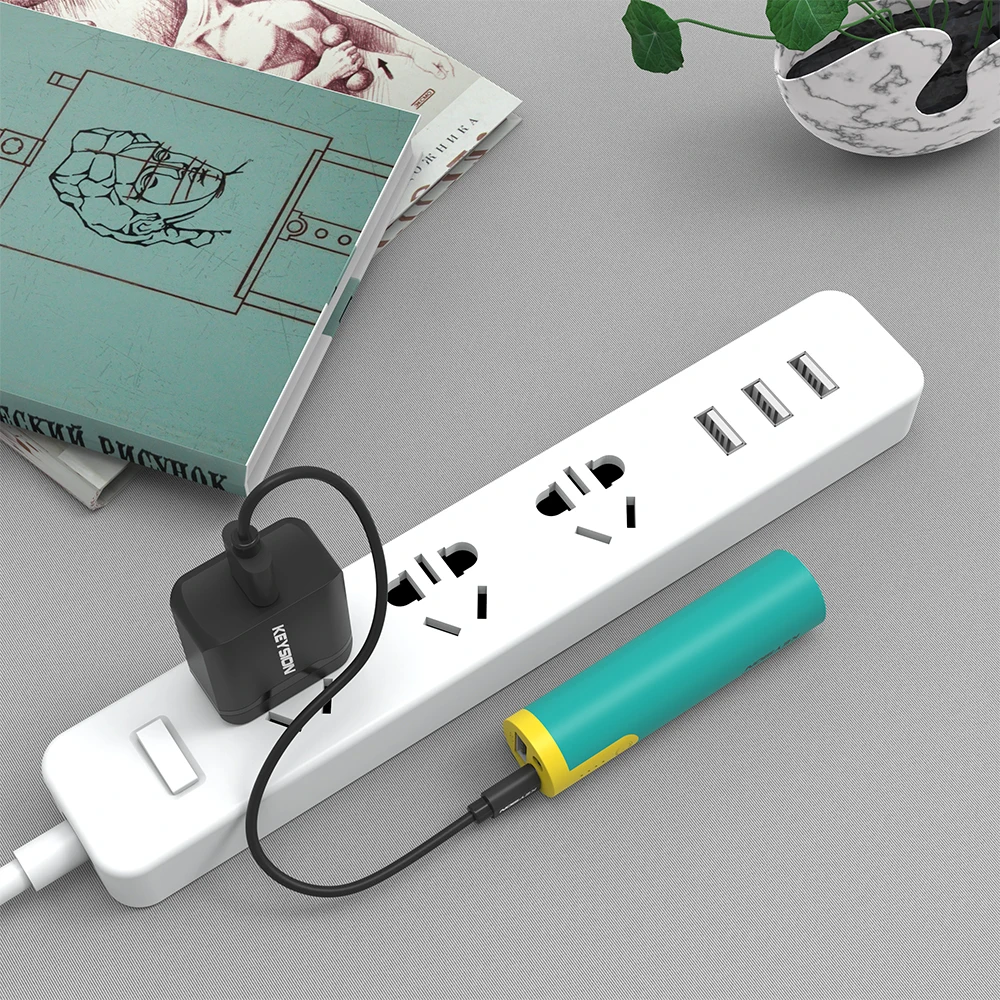KEYSION 2000mAh Portable Power Bank Emergency Small Battery Powerbank for iPhone 11Pro Max XS 9 8 7 6S With flashlight function
KEYSION 2000mAh Portable Power Bank Emergency Small Battery Powerbank for iPhone 11Pro Max XS 9 8 7 6S With flashlight function