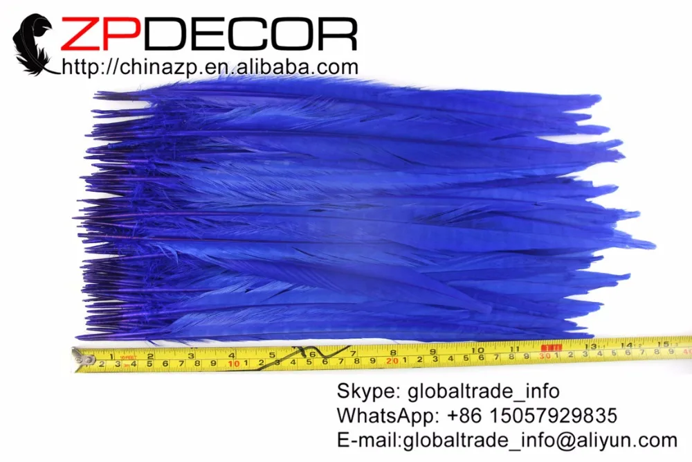 ZPDECOR 100 piece/lot 30-35cm(12-14inch) Good Quality Royal Blue Dyed Ringneck Pheasant Tail Plume Feathers for Carnival Costume
ZPDECOR 100 piece/lot 30-35cm(12-14inch) Good Quality Royal Blue Dyed Ringneck Pheasant Tail Plume Feathers for Carnival Costume