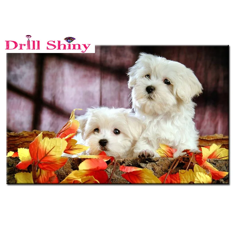 Drill Shiny 5D Diamond Painting Animal cross stitch Diamond Embroidery dog Square Diamond Mosaic Crafts
Drill Shiny 5D Diamond Painting Animal cross stitch Diamond Embroidery dog Square Diamond Mosaic Crafts