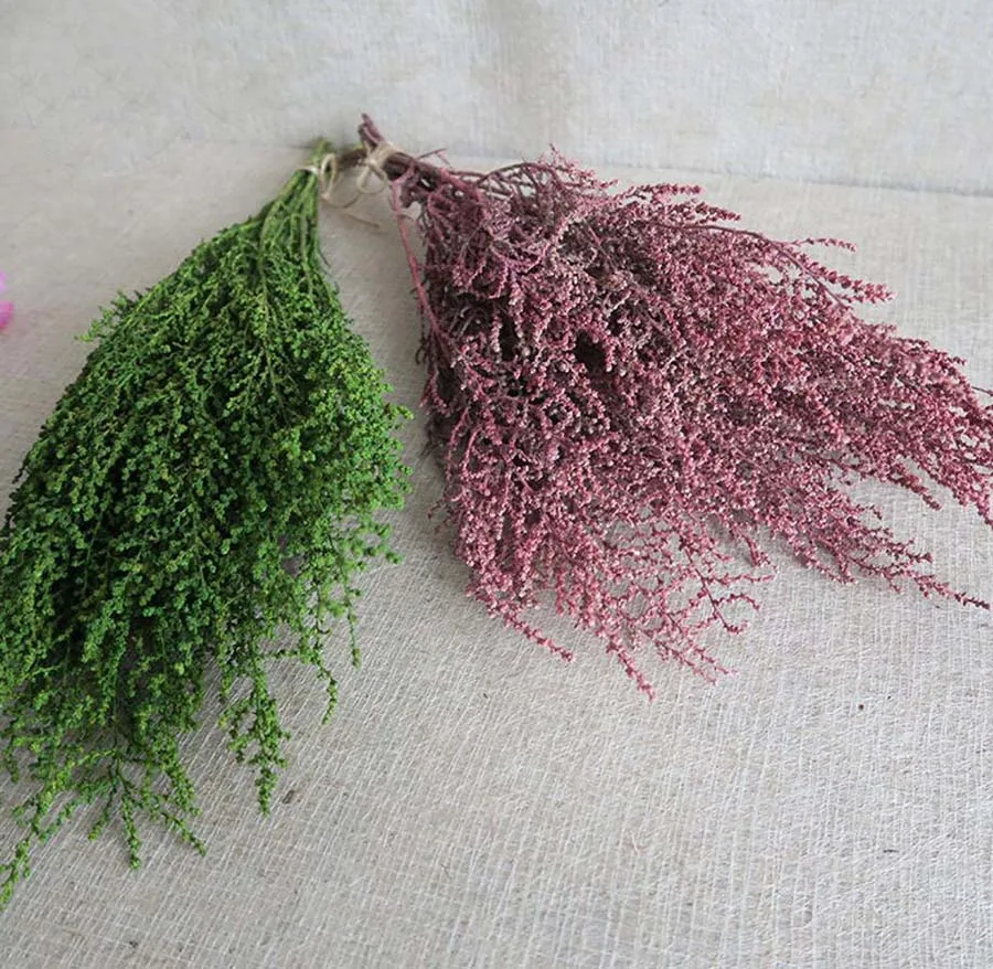 30g Green/Pink Preserved Gnaphalium affine D. Don Flower For Bouquet Wreath Garland Making Material Accessory Craft DIY
30g Green/Pink Preserved Gnaphalium affine D. Don Flower For Bouquet Wreath Garland Making Material Accessory Craft DIY
