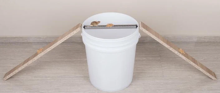 Walk The Plank Rolling Log Mouse Trap - Auto Reset - Repellent Kill or No Kill Trap for Rats Rodent Mice Repeller Non Poison
Walk The Plank Rolling Log Mouse Trap - Auto Reset - Repellent Kill or No Kill Trap for Rats Rodent Mice Repeller Non Poison
