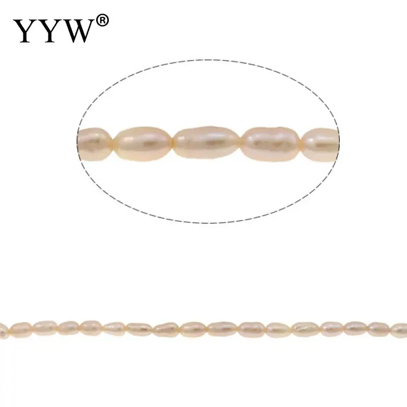 Cultured Rice Freshwater Pearl Beads natural purple Grade A 3-4mm Approx 0.8mm Sold Per 14 Inch Strand
Cultured Rice Freshwater Pearl Beads natural purple Grade A 3-4mm Approx 0.8mm Sold Per 14 Inch Strand