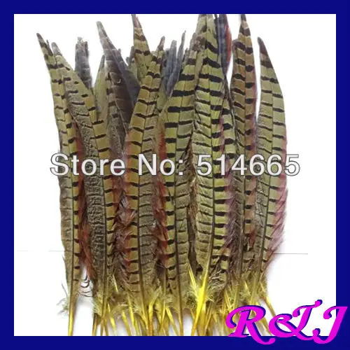 Free Shipping 100pcs/lot YELLOW pheasant Feather tail For Party Performance Approx 12-14inch 30-35cm
Free Shipping 100pcs/lot YELLOW pheasant Feather tail For Party Performance Approx 12-14inch 30-35cm