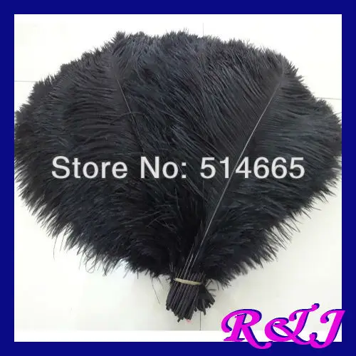 EMS Free shipping 200PCS/LOT BLACK Ostrich drab feather 14-16" 40-45cm for wedding centerpieces
EMS Free shipping 200PCS/LOT BLACK Ostrich drab feather 14-16" 40-45cm for wedding centerpieces