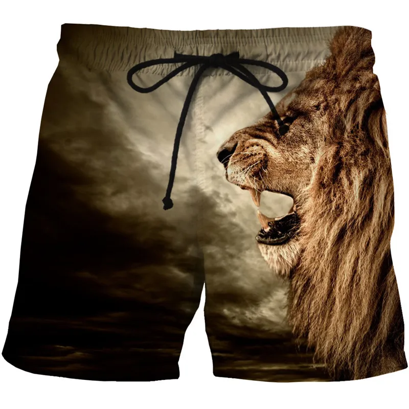 2019 new 3D printed shorts Harajuku style casual unisex shorts street trend men's cool shorts loose super size clothing
2019 new 3D printed shorts Harajuku style casual unisex shorts street trend men's cool shorts loose super size clothing