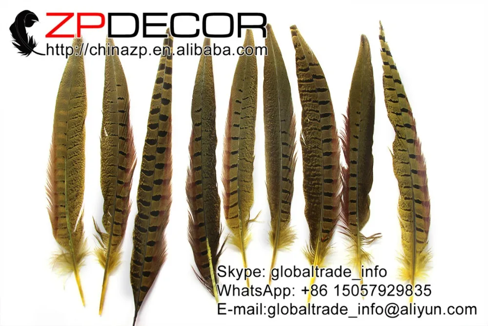 ZPDECOR 100pcs/lot 25-30cm(10-12inch) Hand Select Yellow Dyed With Ringneck Tail Pheasant For Arts And Crafts
ZPDECOR 100pcs/lot 25-30cm(10-12inch) Hand Select Yellow Dyed With Ringneck Tail Pheasant For Arts And Crafts
