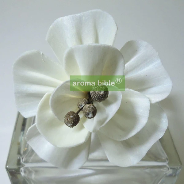 1000 pcs /lot Handmade sola wood flowers for fragrance diffuser and home decor with 12cm Rope or rattan reed sticks Top quality
1000 pcs /lot Handmade sola wood flowers for fragrance diffuser and home decor with 12cm Rope or rattan reed sticks Top quality