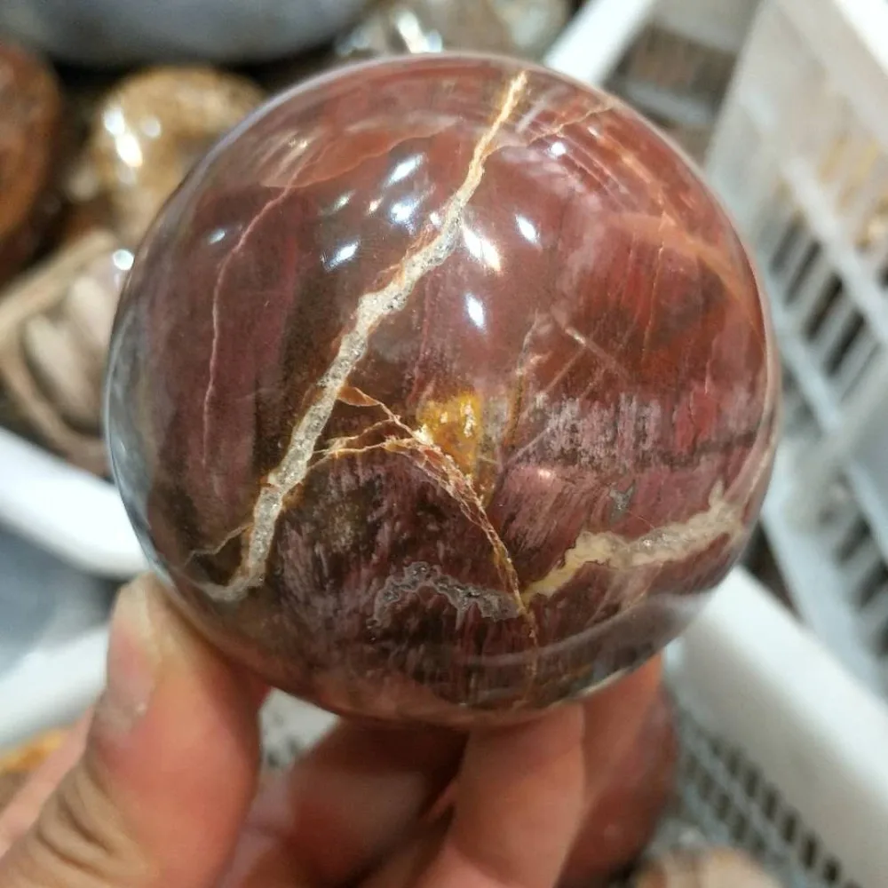 2019 hot 70MM 100% Natural Petrified Wood Fossil Ball Polished Specimen Madagascar Free shipping+Rotate the base
2019 hot 70MM 100% Natural Petrified Wood Fossil Ball Polished Specimen Madagascar Free shipping+Rotate the base
