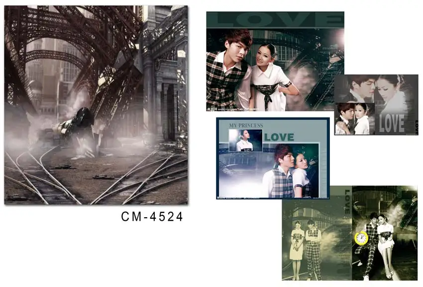 200*300cm wedding background photography custom vinyl backdrops for studio digital printed wedding photo props
200*300cm wedding background photography custom vinyl backdrops for studio digital printed wedding photo props