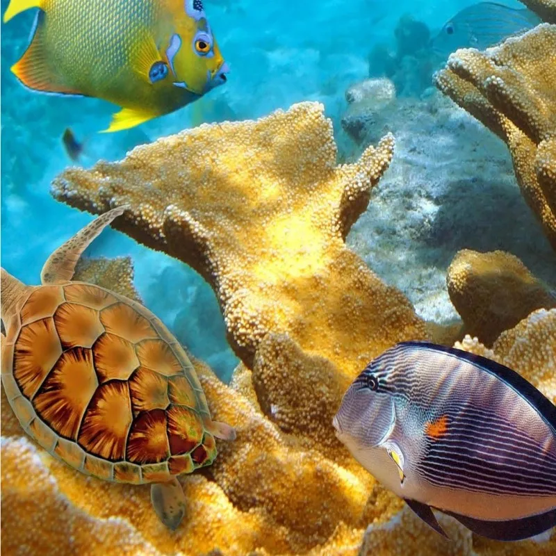 Free Shipping self-adhesive non-slip floor mural Sea World 3D bathroom floor paste wallpaper
Free Shipping self-adhesive non-slip floor mural Sea World 3D bathroom floor paste wallpaper