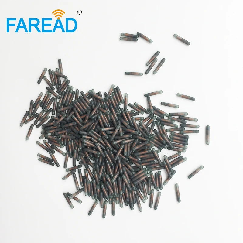 80pcs LF Rfid Transponder Chip Identifier ICAR 1.4*8mm Microchip Bioglass Tag for Digital ID Tracking EM4305 ISO11784 /ISO11785
80pcs LF Rfid Transponder Chip Identifier ICAR 1.4*8mm Microchip Bioglass Tag for Digital ID Tracking EM4305 ISO11784 /ISO11785