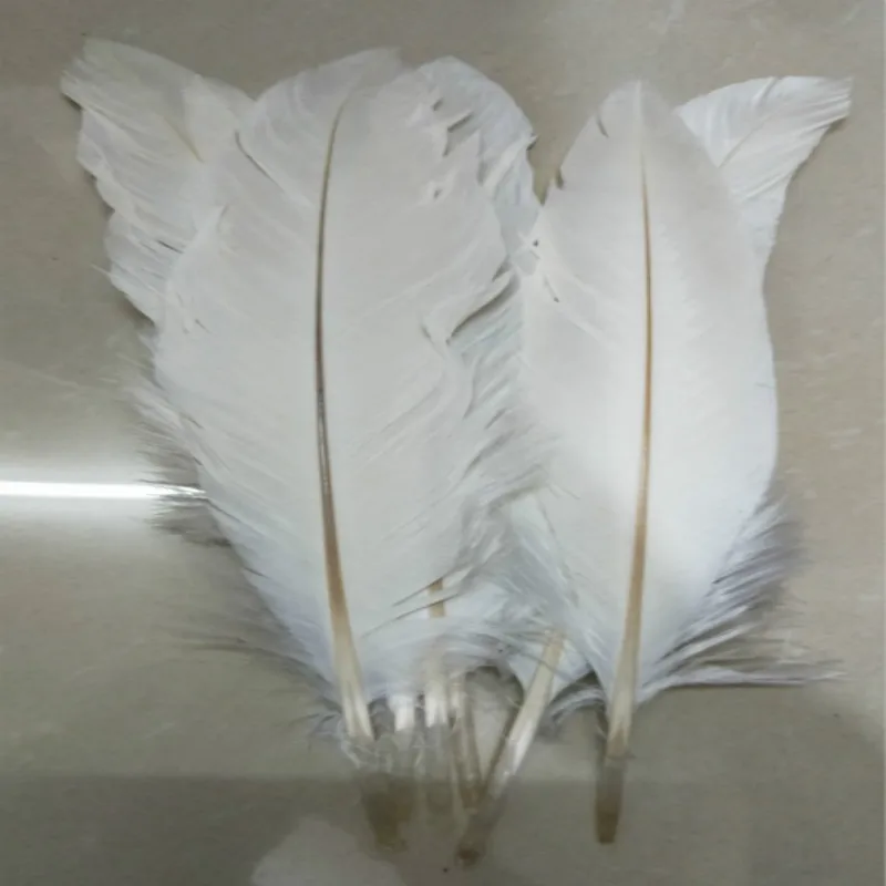 new!10 pcs quality white eagle feathers, 16-18 inches / 40-45 cm long, DIY jewelry decoration
new!10 pcs quality white eagle feathers, 16-18 inches / 40-45 cm long, DIY jewelry decoration