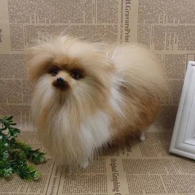 simulation animal Pomeranian dog model 23x20cm ,polyethylene&furs handicraft Figurines & Miniatures decoration toy gift a2954
simulation animal Pomeranian dog model 23x20cm ,polyethylene&furs handicraft Figurines & Miniatures decoration toy gift a2954