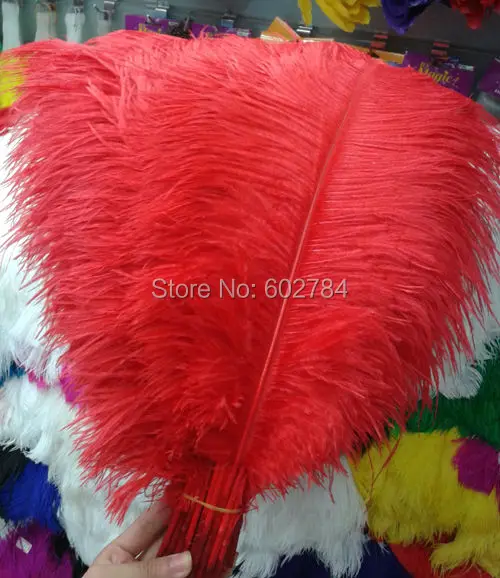 EMS Free shipping red 50PCS 50-55cm 20-22inch ostrich feather ostrich plumage Wedding centerpieces
EMS Free shipping red 50PCS 50-55cm 20-22inch ostrich feather ostrich plumage Wedding centerpieces