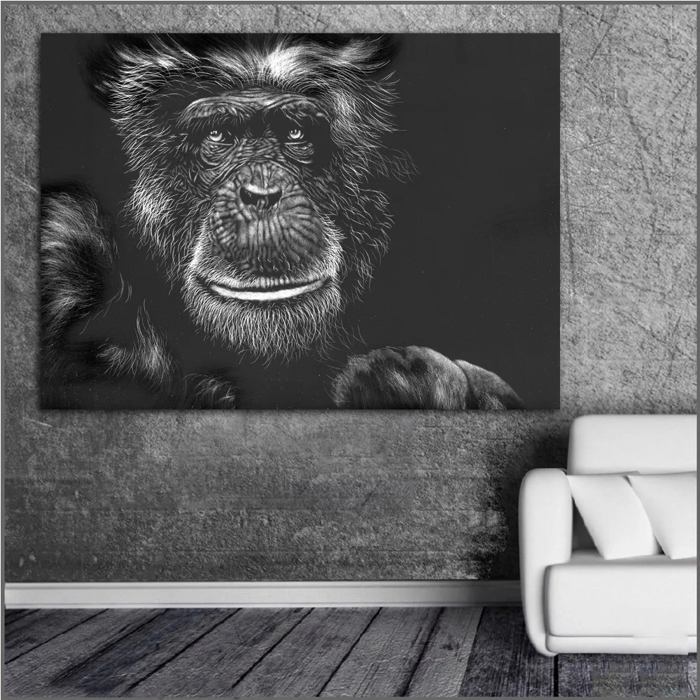 Printing Painting Art Monkeys Black and white Black art Picture Home Decor Living Room Modern Canvas Print Paintings no frames
Printing Painting Art Monkeys Black and white Black art Picture Home Decor Living Room Modern Canvas Print Paintings no frames