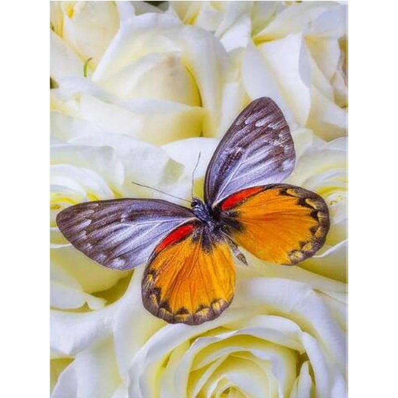 K004 YIKEE Butterfly diamond painting,diamond painting embroidery,diamond embroidered
K004 YIKEE Butterfly diamond painting,diamond painting embroidery,diamond embroidered