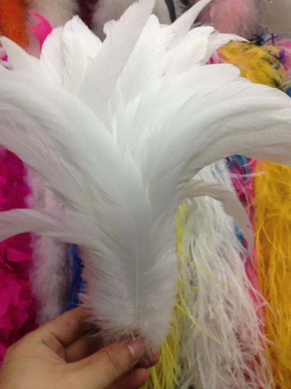 Free shipping wholesale 50pcs Rare natural white rooster tail 25-30cm/10-12inch Decorative diy pure white Wedding Accessories
Free shipping wholesale 50pcs Rare natural white rooster tail 25-30cm/10-12inch Decorative diy pure white Wedding Accessories
