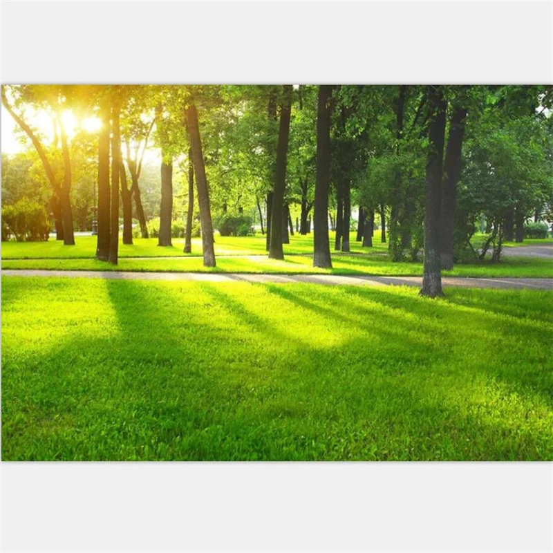 beibehang Wallpaper murals custom living room bedroom sunny woods murals TV background wall home decoration painting
beibehang Wallpaper murals custom living room bedroom sunny woods murals TV background wall home decoration painting