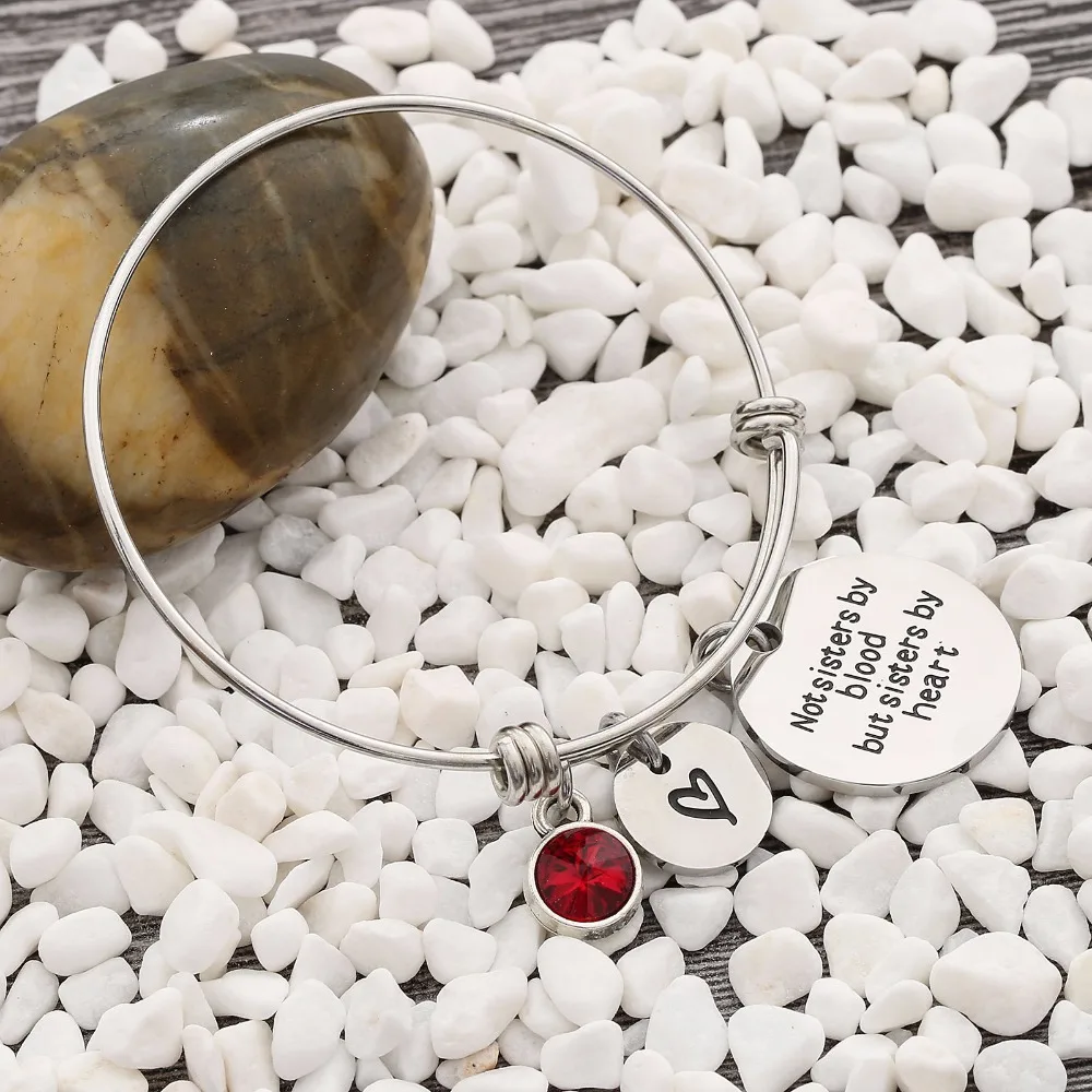 Best Friend Birthday Gift Birthstone Charm Bracelet for Women Stainless Steel Friendship Bangle Bracelet with Quote Sister
Best Friend Birthday Gift Birthstone Charm Bracelet for Women Stainless Steel Friendship Bangle Bracelet with Quote Sister
