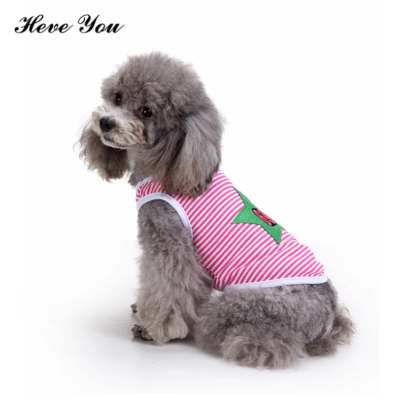Heve You Pet Clothes for Small Dogs Cute Dog Clothing Puppy Shirts Cat Vests Cartoon Costume Clothing for Small Pets Chihuahua
Heve You Pet Clothes for Small Dogs Cute Dog Clothing Puppy Shirts Cat Vests Cartoon Costume Clothing for Small Pets Chihuahua